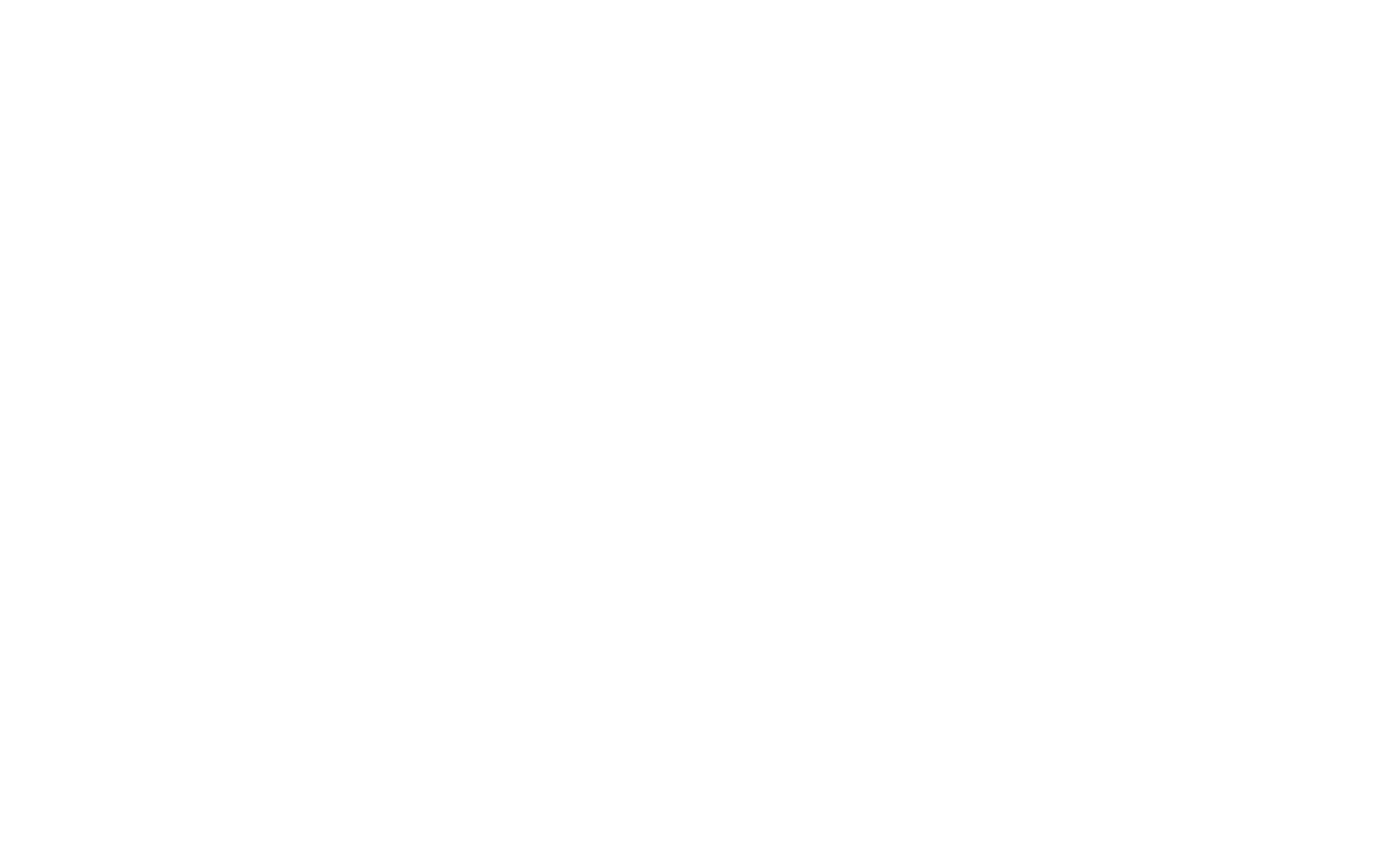 Nordic Brain Tech logo